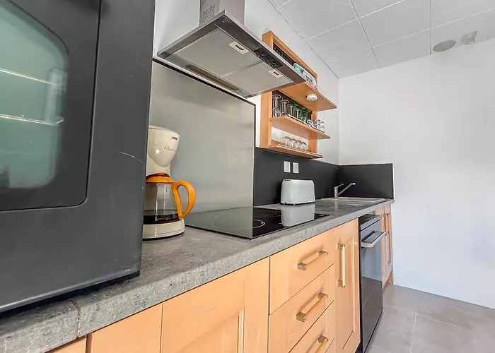 Апартаменты Maison Avec Jardin, Terrasse, Cheminee Insert Et Bois Каркассон